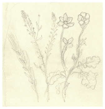 Visualizza l'immagine "FD D 1865"